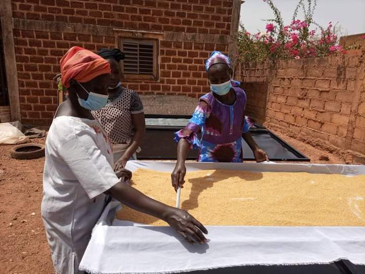 Niébé, haricot à œil noir